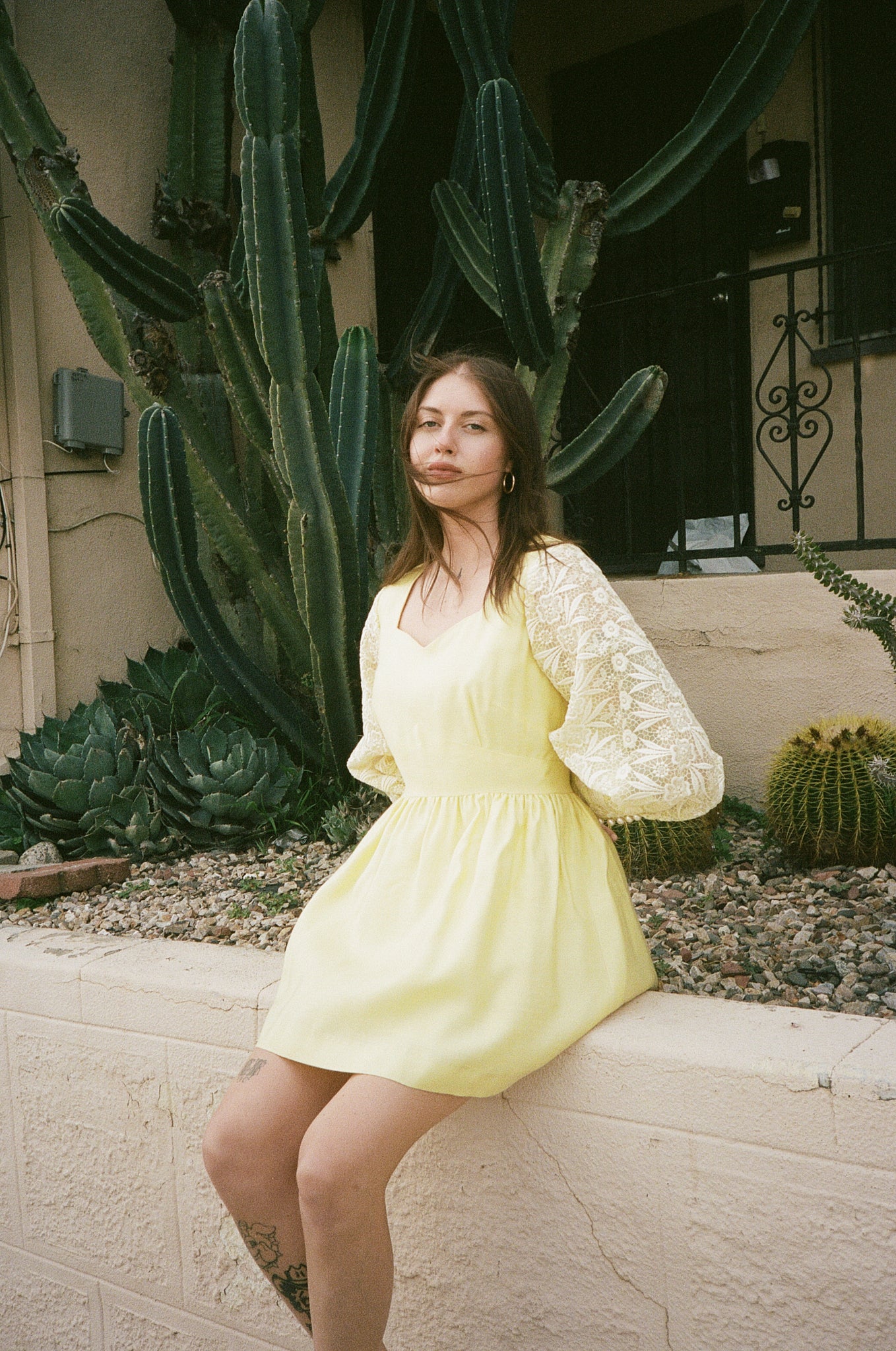 Buttercup Lace Mini