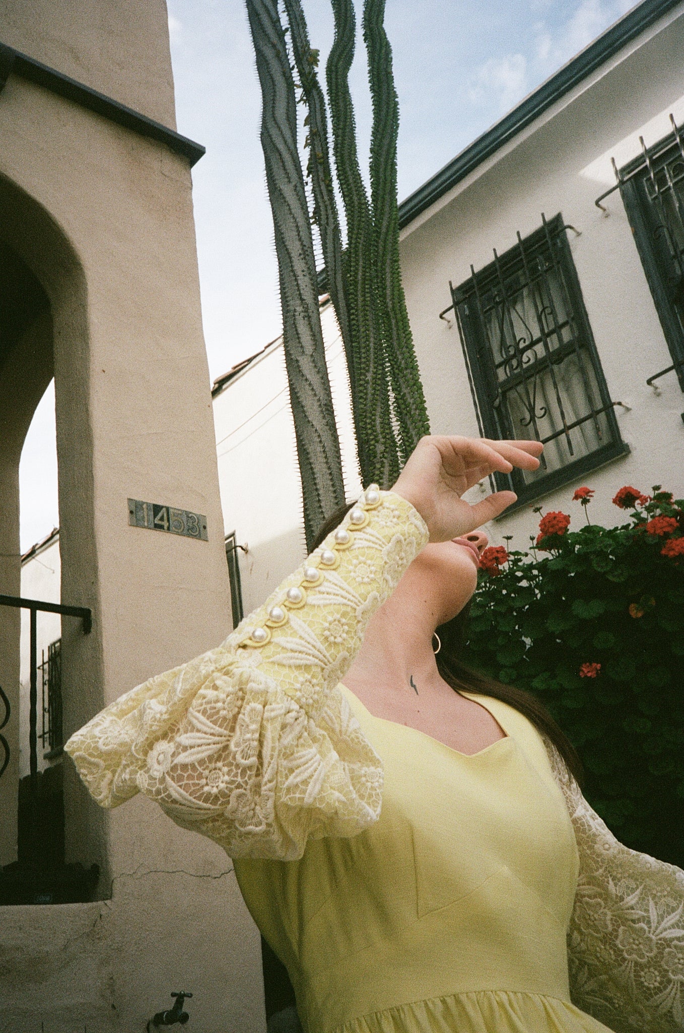 Buttercup Lace Mini