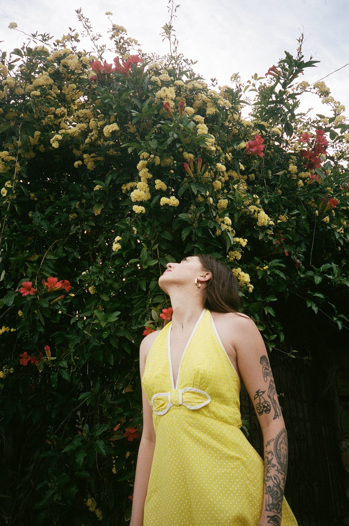 Daffodil Halter Gown