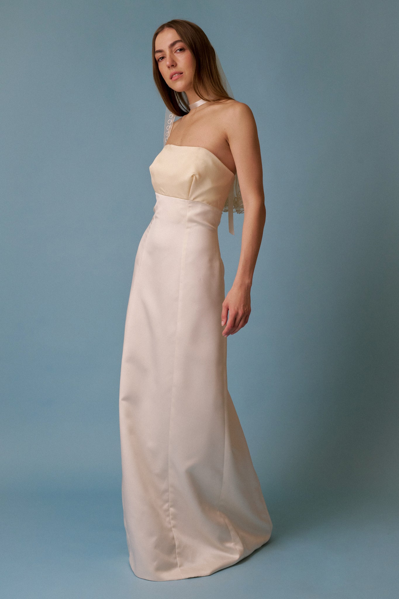Vera Strapless Gown - M