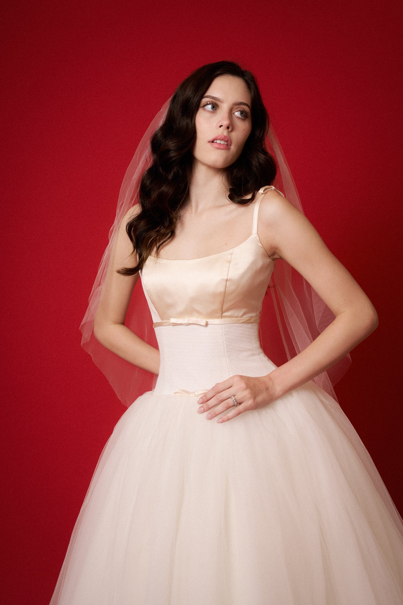 Monique Lhuillier Gown