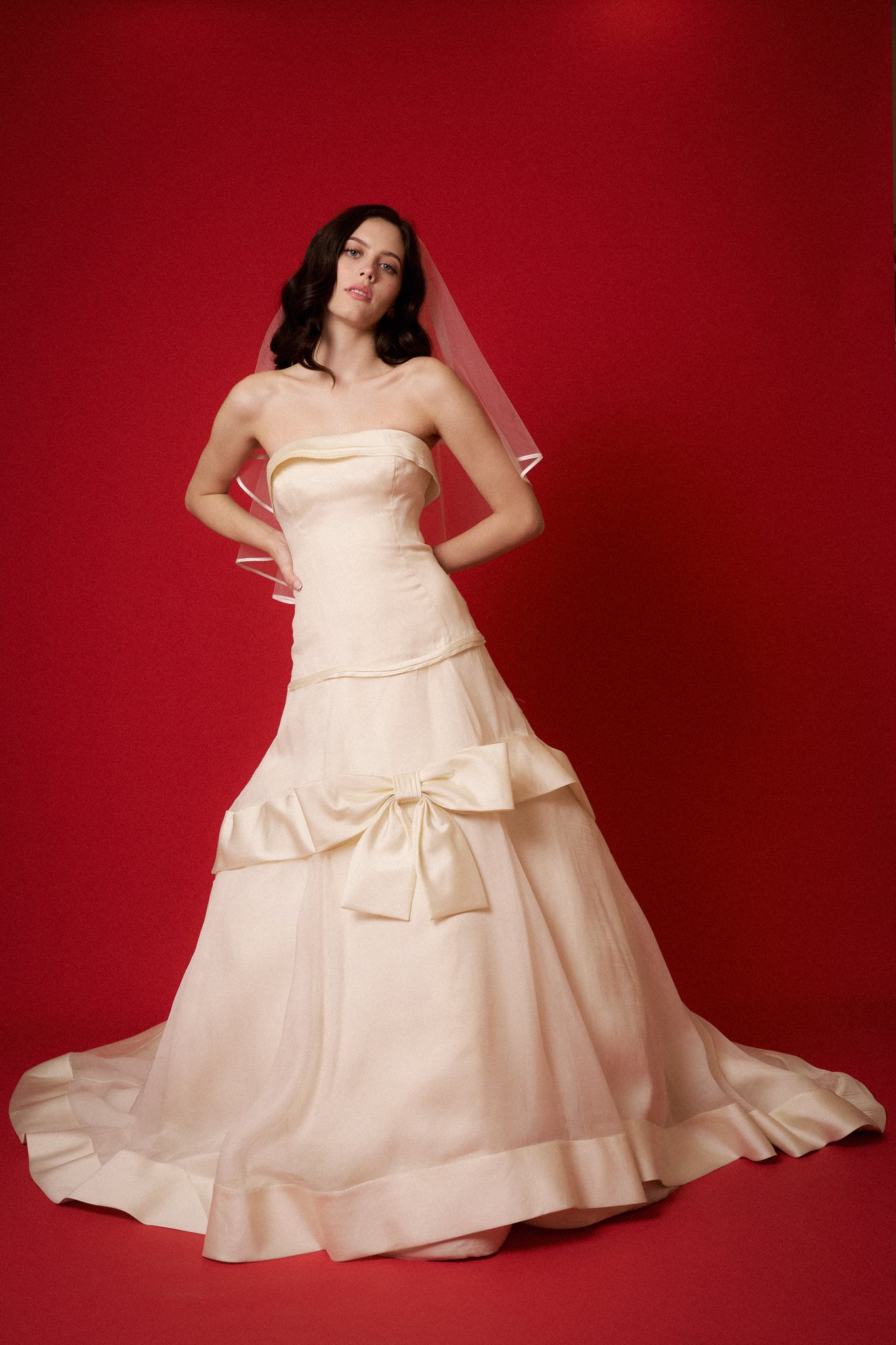 Vera Wang Chiffon Gown