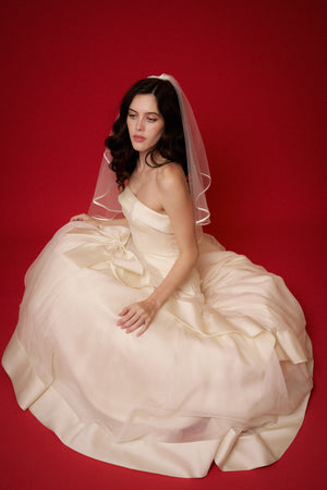 Vera Wang Chiffon Gown