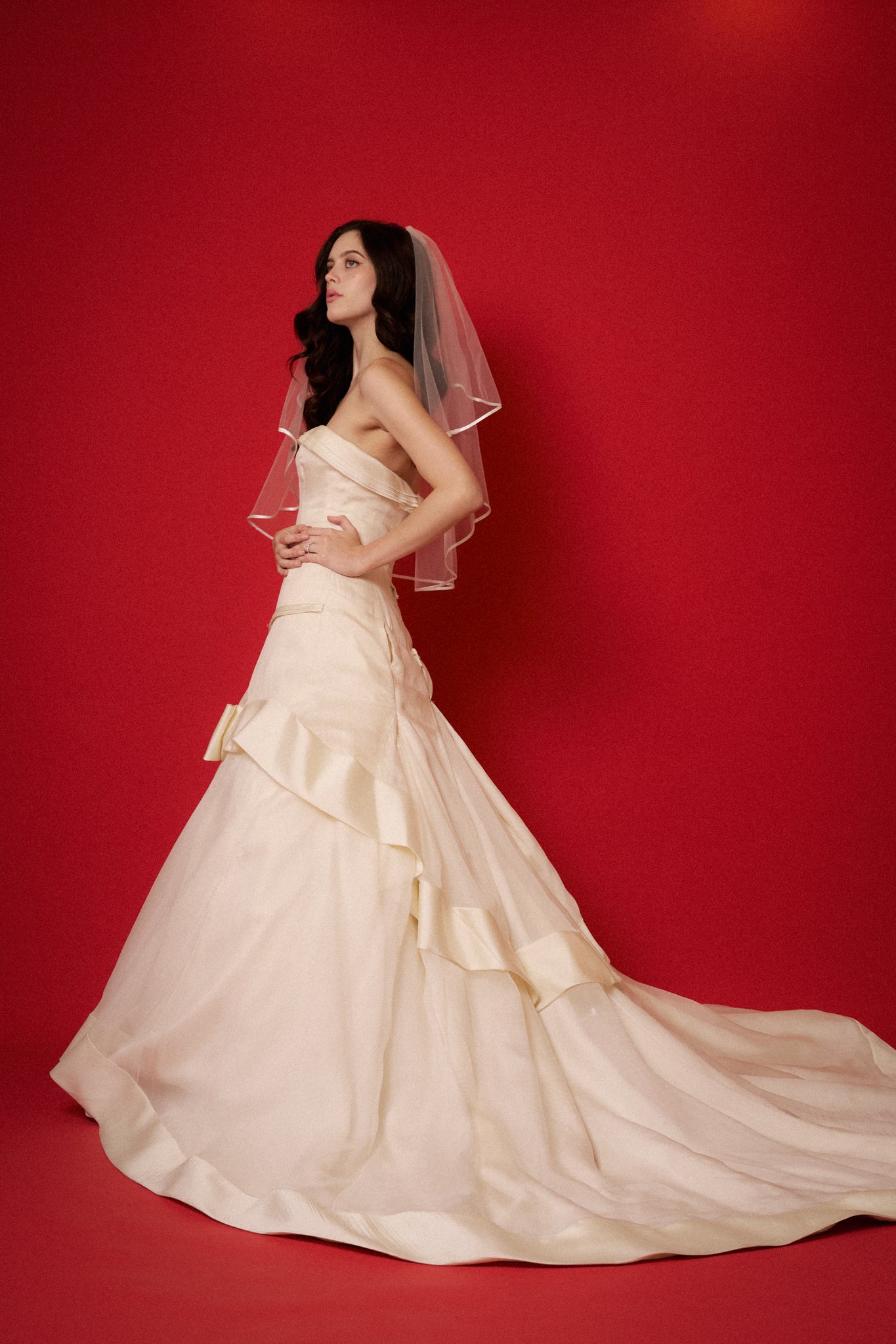 Vera Wang Chiffon Gown