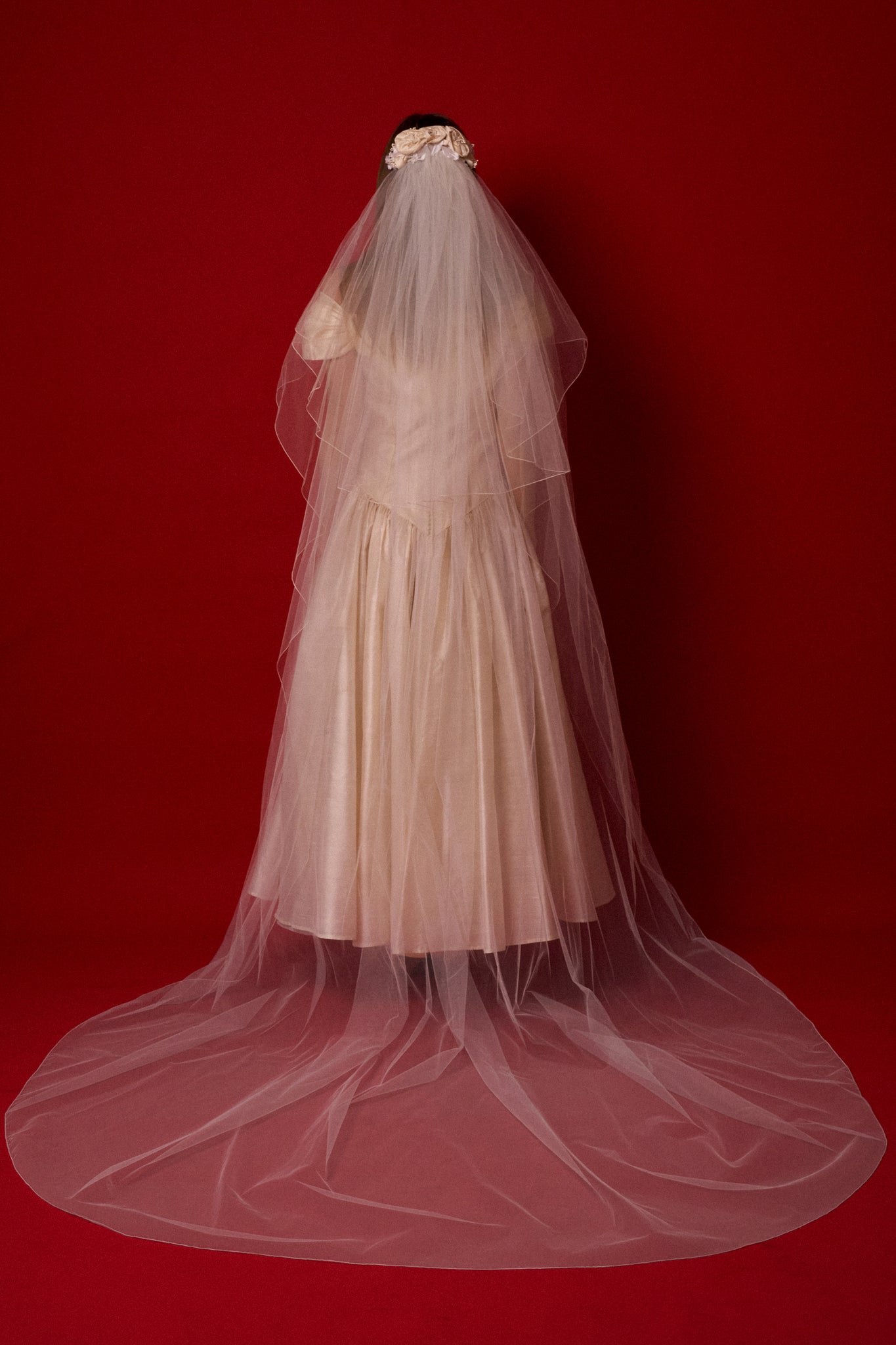 Rosette Cathedral Veil