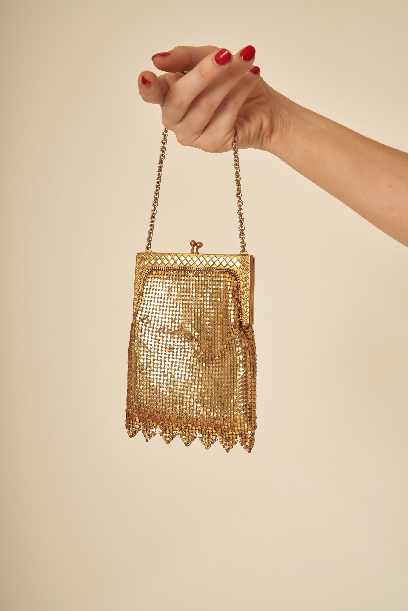 Zelda Mesh Purse
