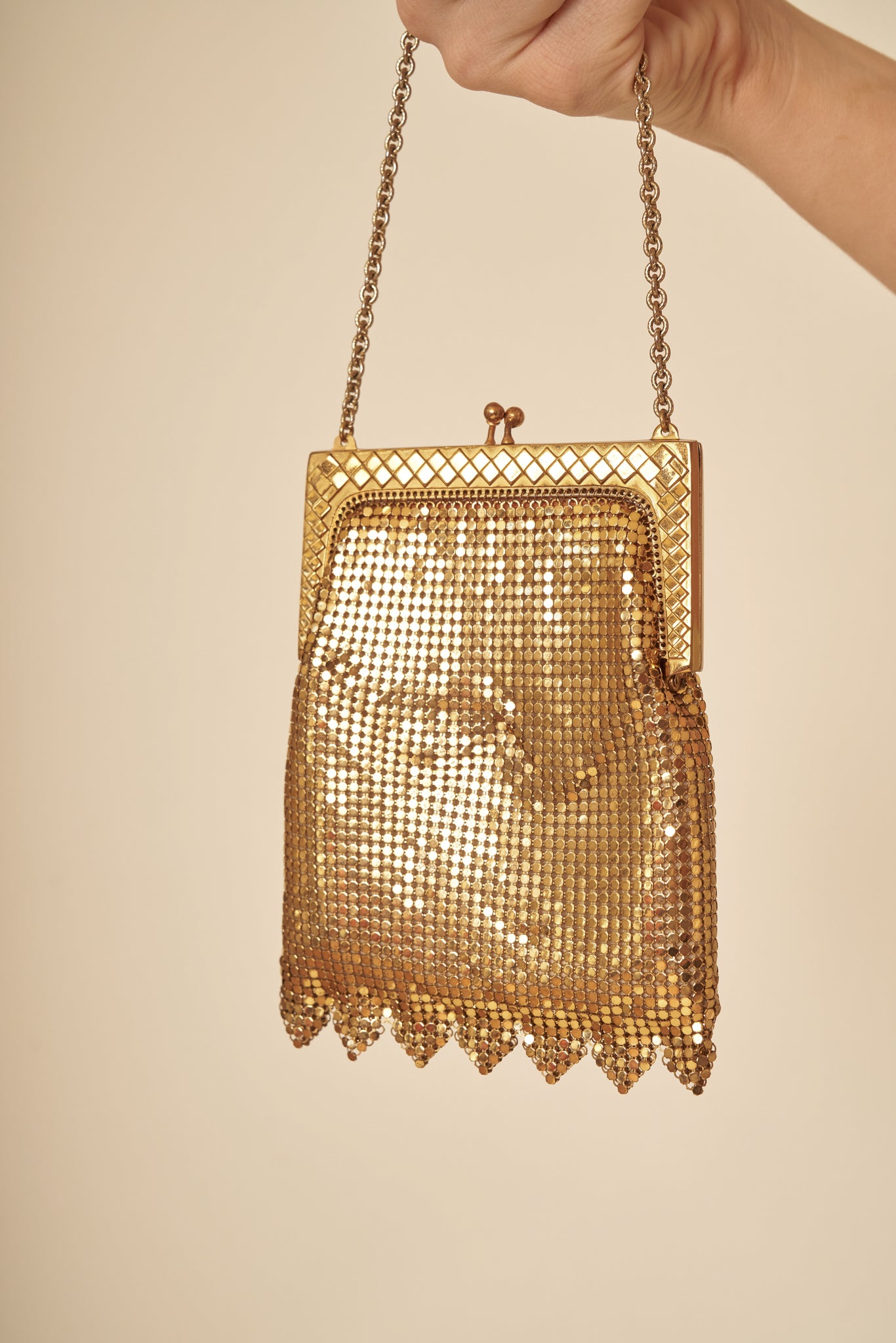 Zelda Mesh Purse